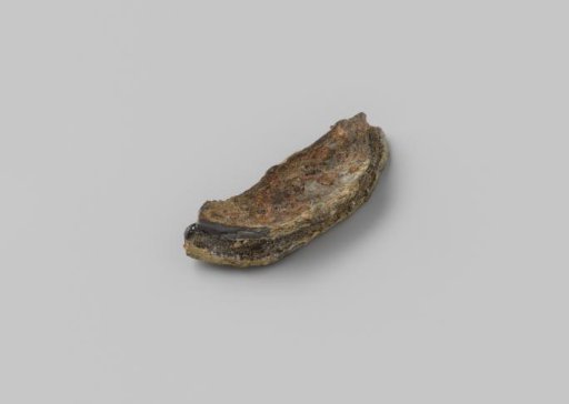 Mechanical part, semicircular, from the wreck of the East Indiaman Hollandia