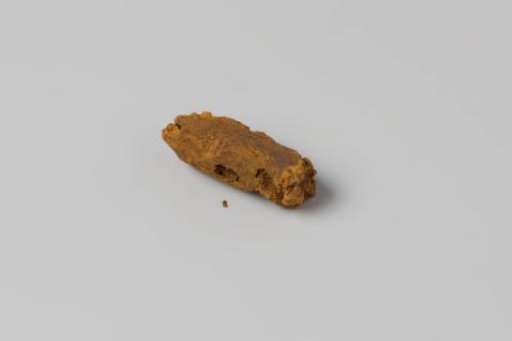 Concretion of filling from a cartridge case from the wreck of the East Indiaman Hollandia