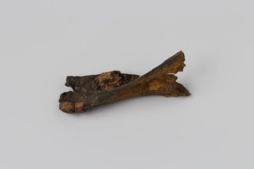 Fragment of copper from the wreck of the East Indiaman Hollandia