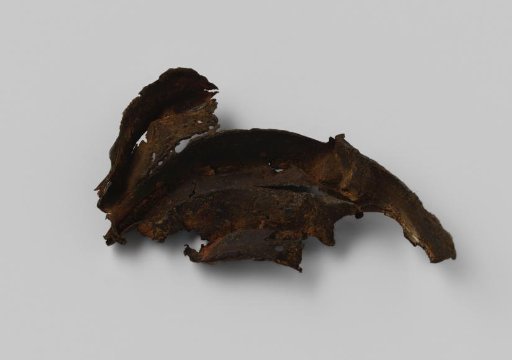 Fragment from the Wreck of the East Indiaman Hollandia