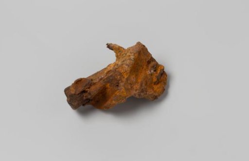 Concretion with fragment of wooden handle from the wreck of the East Indiaman Hollandia
