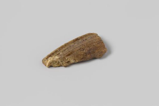 Fragment of a storage jar from the wreck of the East Indiaman Hollandia