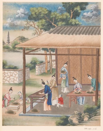 Fine Cutting and Sorting of the Tea