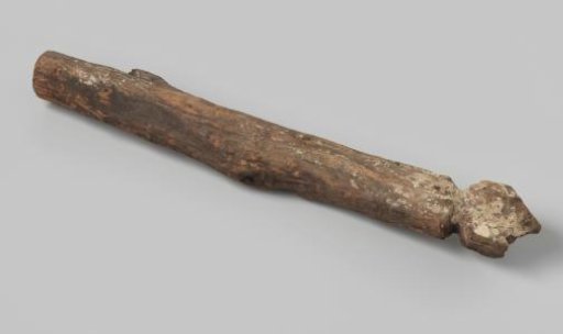 Dye wood from the wreck of the Swedish East Indiaman Svecia