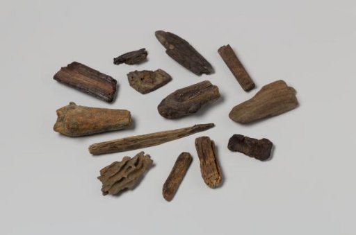 Wood fragments from the wreck of the East Indiaman 't Vliegend Hart, lost in 1735