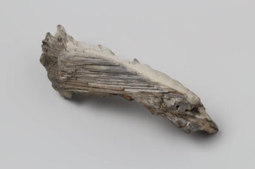 Concretion containing the imprint of a piece of wood from the wreck of the East Indiaman 't Vliegend Hart, lost in 1735