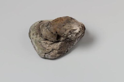 Peat lump or fragment of turf, from the wreck of the East Indiaman 't Vliegend Hart