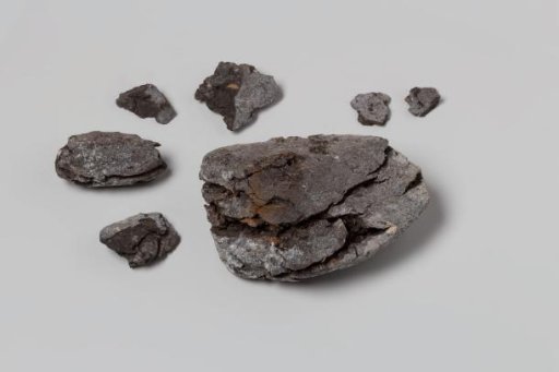 Lump of Peat Discovered or Dug Up from the Wreck of the East Indiaman 't Vliegend Hart