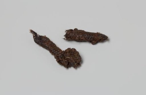 Fragments of a rope from the wreck of the East Indiaman 't Vliegend Hart, lost in 1735