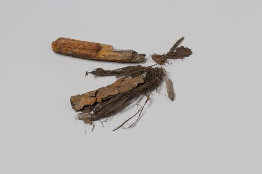 Fragment of a wooden pin and a bundle of fibers, possibly a fuse, from the wreck of the East Indiaman 't Vliegend Hart, lost in 1735