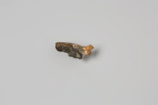 Fragment of a pipe bowl from the wreck of the East Indiaman 't Vliegend Hart