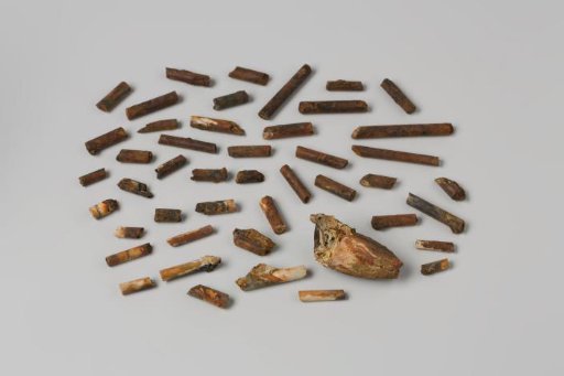 Fragment of a pipe bowl and pipe stems from the wreck of the East Indiaman 't Vliegend Hart