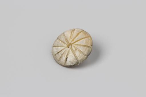 Pearl button from the wreck of the East Indiaman 't Vliegend Hart, lost in 1735