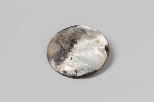 Button from the wreck of the East Indiaman 't Vliegend Hart