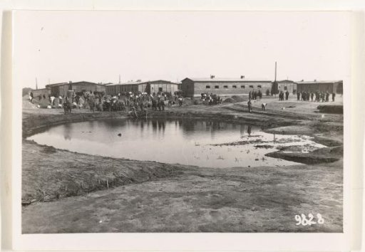 Graves of the pond