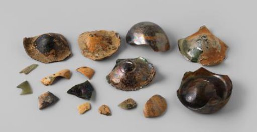Fragments of wine bottles from the wreck of the East Indiaman 't Vliegend Hart