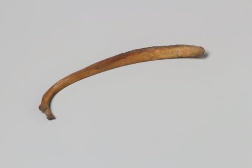 Human rib from the wreck of the East Indiaman 't Vliegend Hart