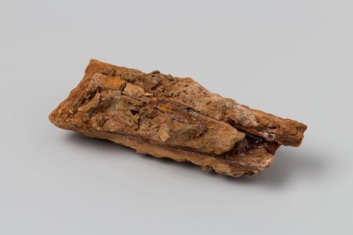 Shape of a blade in an iron concretion from the wreck of the East Indiaman 't Vliegend Hart, lost in 1735