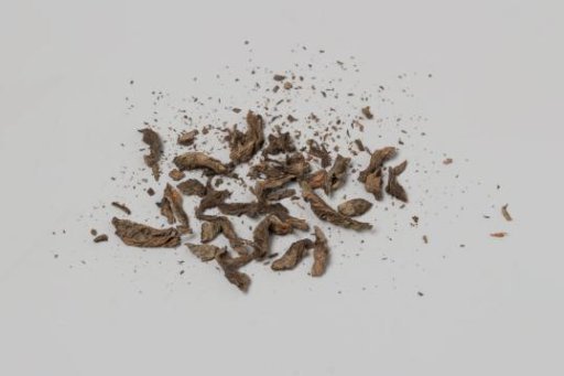 Plant leaf fragments from the wreck of the East Indiaman 't Vliegend Hart