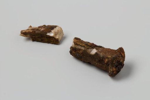 Iron Concretion in the Shape of an Adze or a Large Nail from the Wreck of the East Indiaman 't Vliegend Hart, Lost in 1735