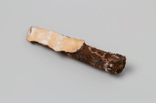 Concretion Filled with Silicone (Rubber) from the Wreck of the East Indiaman 't Vliegend Hart