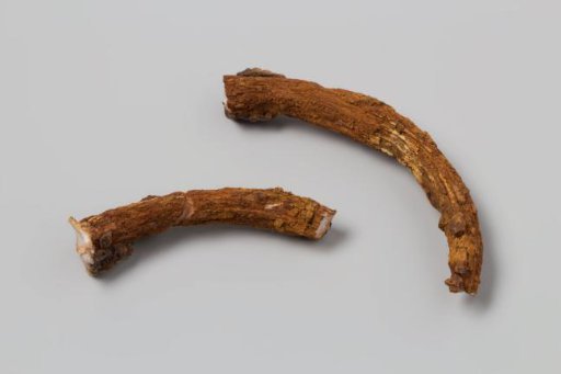 Handle from a concretion from the wreck of the East Indiaman 't Vliegend Hart