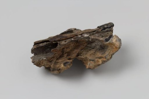 Iron Concretion Around a Piece of Wood with Rope Impressions from the Wreck of the East Indiaman 't Vliegend Hart, Lost in 1735
