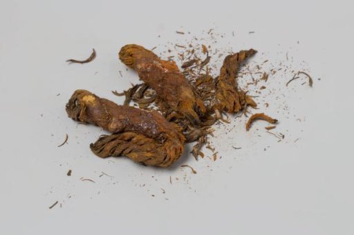 Rope fragments from the wreck of the East Indiaman 't Vliegend Hart, which sank in 1735, but possibly of more recent origin
