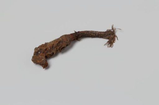 Fragment of a rope from the wreck of the East Indiaman 't Vliegend Hart