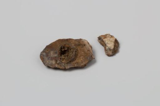 Iron concretions in the shape of a nail head from the wreck of the East Indiaman 't Vliegend Hart, lost in 1735