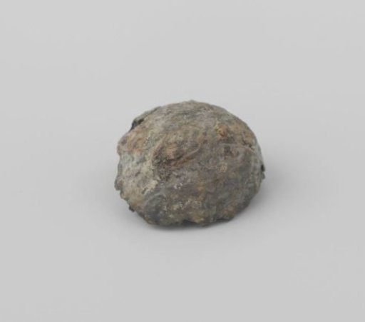 Nutmeg from the wreck of the East Indiaman 't Vliegend Hart