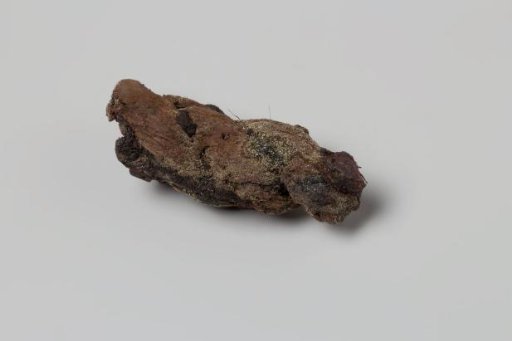 Rope Fragment from the Wreck of the East Indiaman 't Vliegend Hart, Lost in 1735