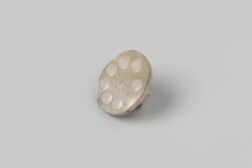 Button from the wreck of the East Indiaman 't Vliegend Hart