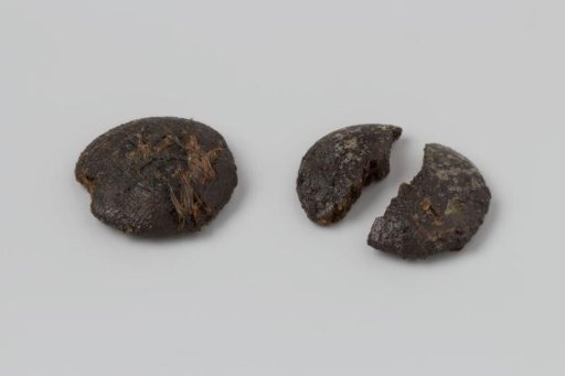 Button from the wreck of the East Indiaman 't Vliegend Hart