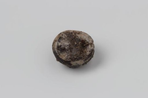 Button from the wreck of the East Indiaman 't Vliegend Hart