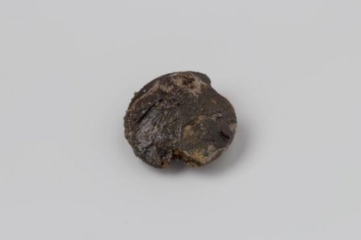 Button from the wreck of the East Indiaman 't Vliegend Hart
