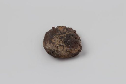 Button from the wreck of the East Indiaman 't Vliegend Hart