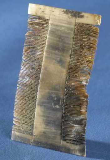 Lice comb from the wreck of the East Indiaman 't Vliegend Hart