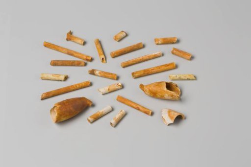 Fragments of Pipe Bowls and Pipe Stems from the Wreck of the East Indiaman 't Vliegend Hart