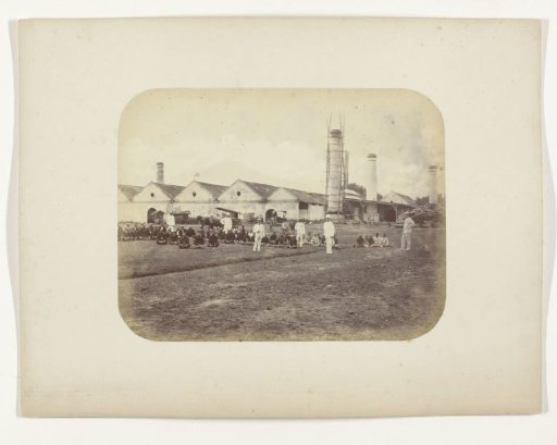 A Sugar Factory