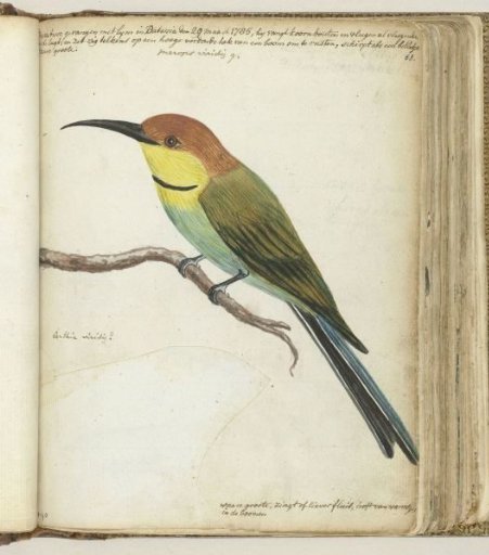 Small bird on branch