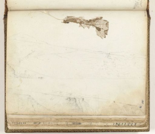 Bay of Saint Helena, dried leaf