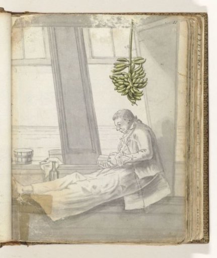 Man with a book before the window
