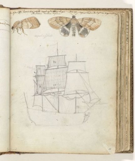 Butterfly and ship