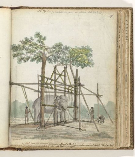 Elephant stable