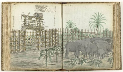 Elephant play and grinding enclosure