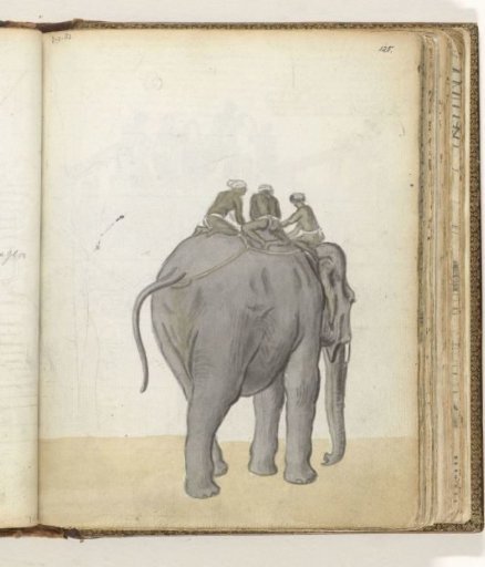Taming an elephant