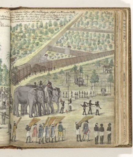 The hunt for elephants