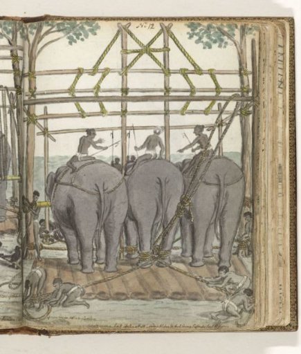 Taming a Wild Elephant in the Temporary Stable, rear view