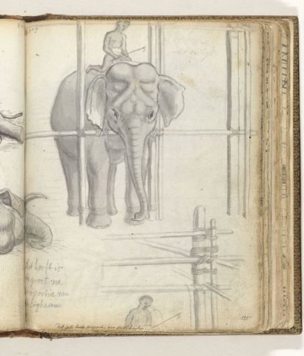 Elephant stable
